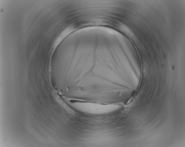 X0000075901378200610151805