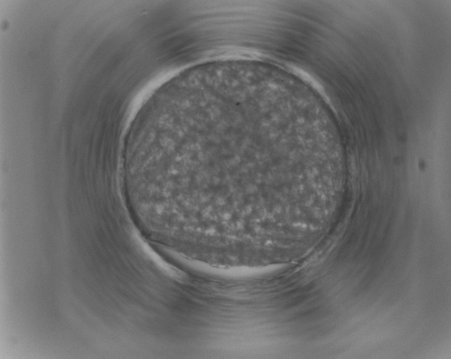 X0000075901379200610151805