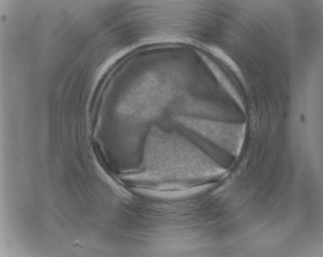 X0000075901380200610151805