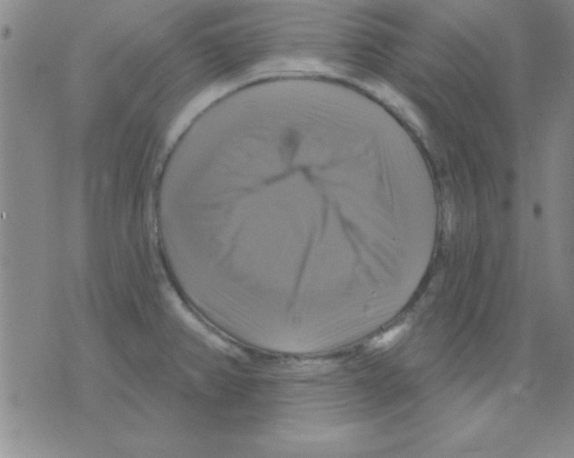 X0000075901382200610151805