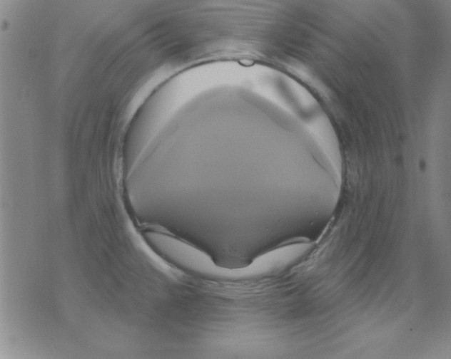 X0000075901383200610151805