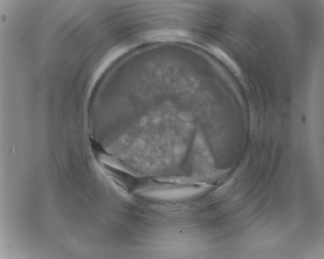 X0000075901384200610151805