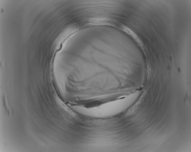 X0000075901386200610151805