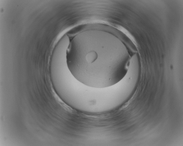 X0000075901388200610151805