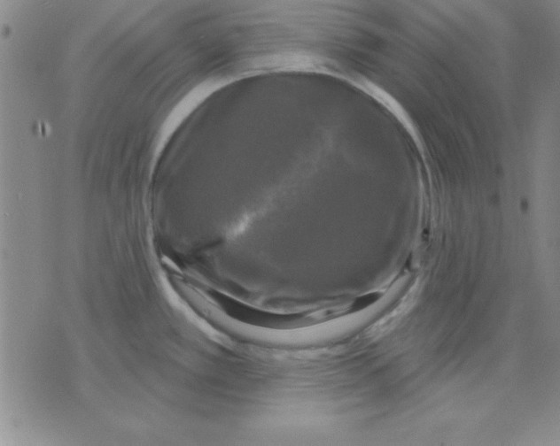 X0000075901389200610151805