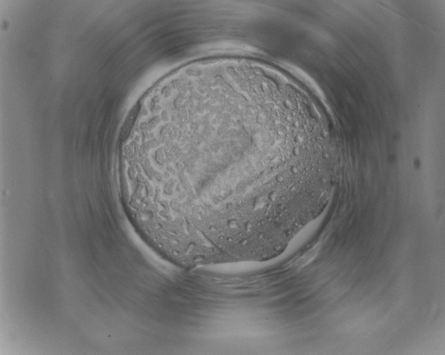 X0000075901391200610151805