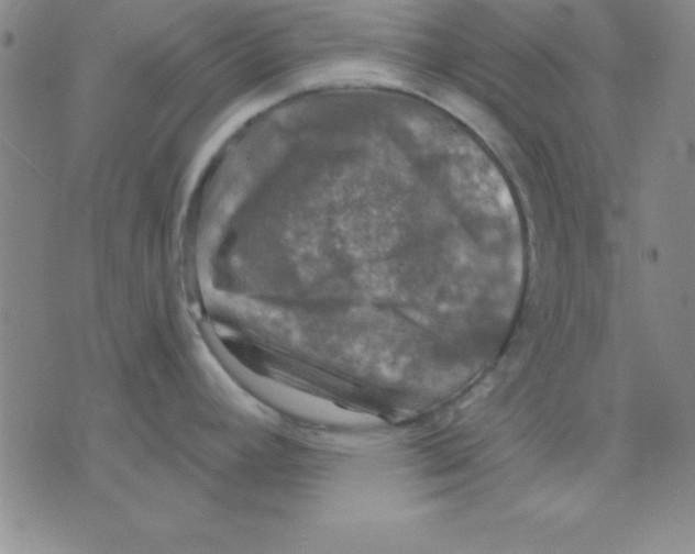 X0000075901392200610151805