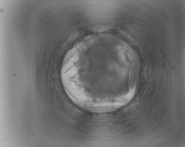 X0000075901393200610151804