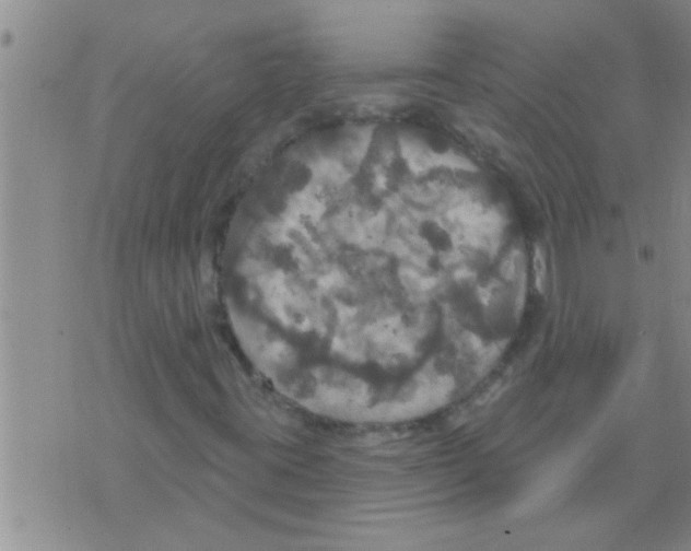 X0000075901395200610151804