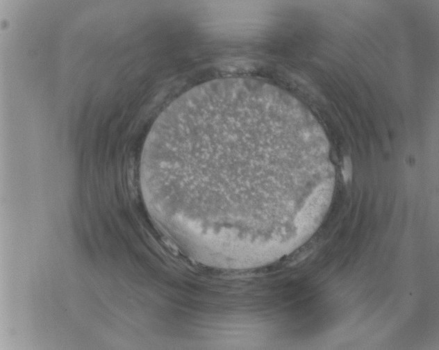 X0000075901396200610151804