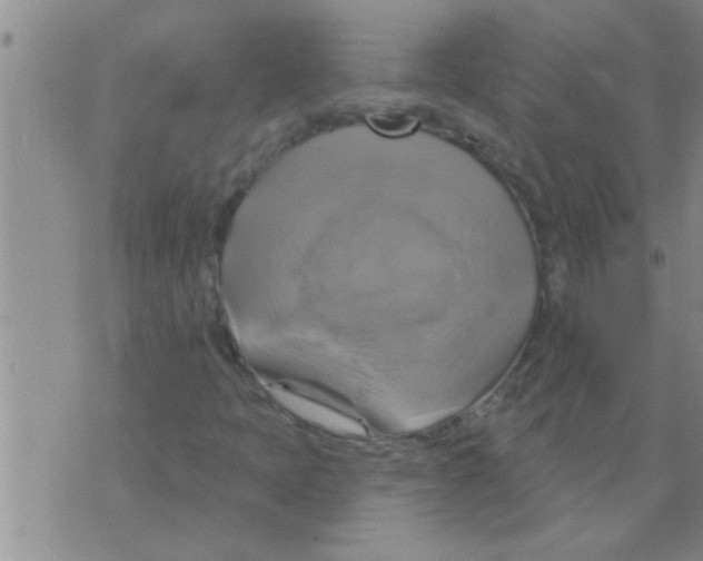 X0000075901397200610151804