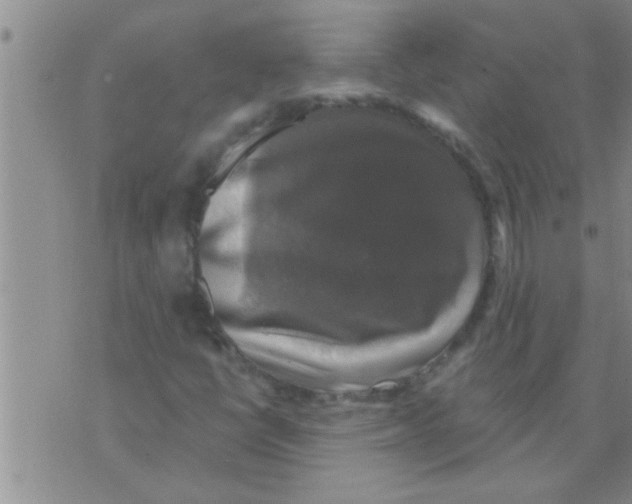 X0000075901398200610151804