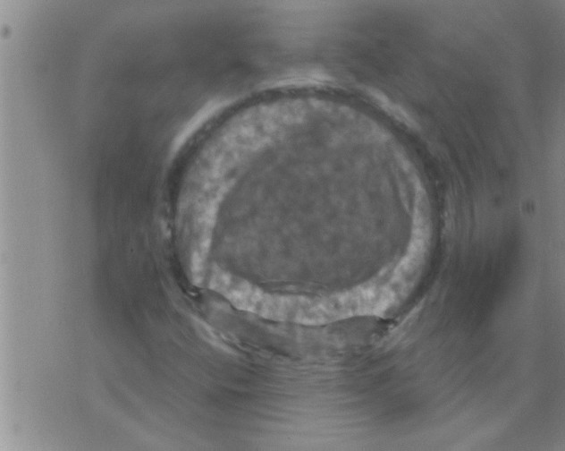 X0000075901400200610151804