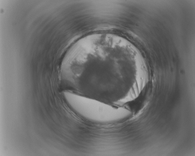 X0000075901401200610151804