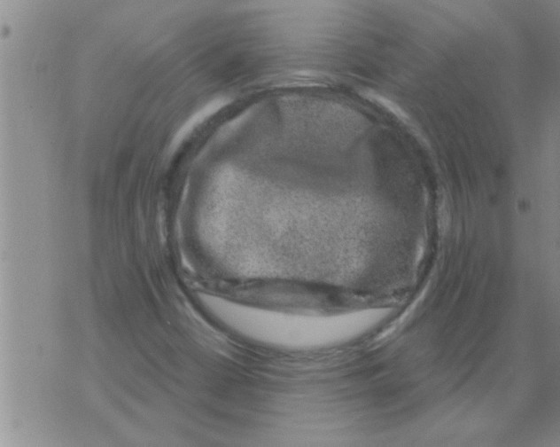 X0000075901402200610151804