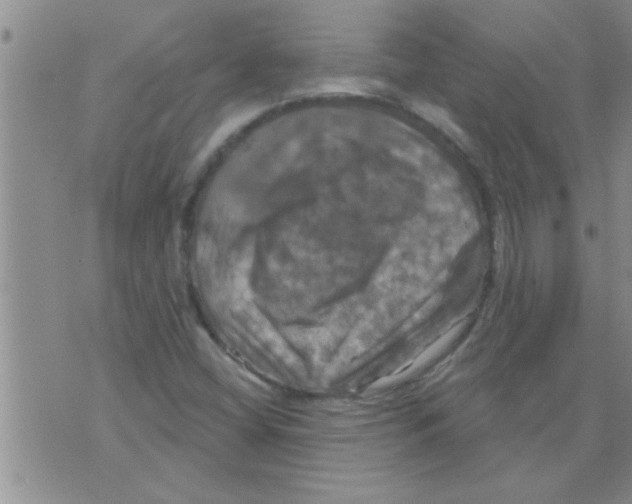 X0000075901404200610151804