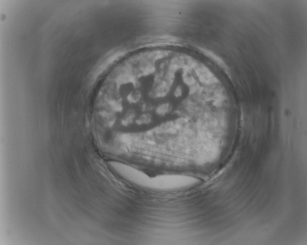 X0000075901407200610151804