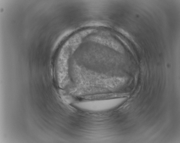 X0000075901408200610151805