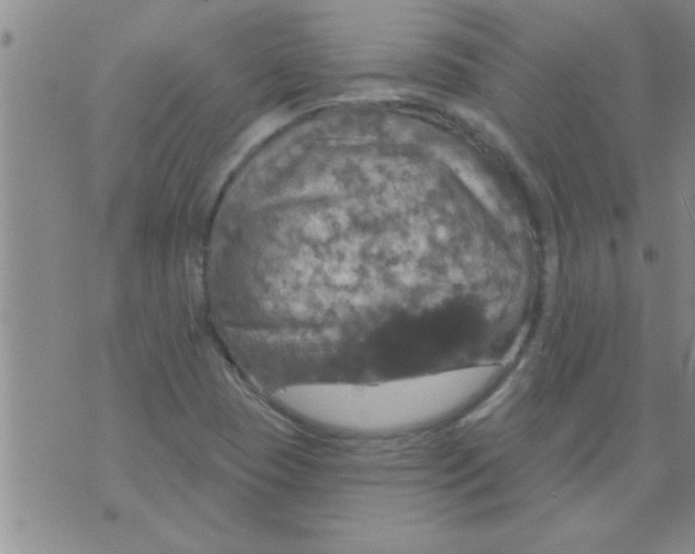 X0000075901409200610151805