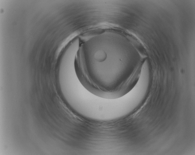 X0000075901410200610151805