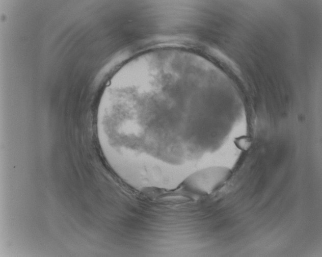 X0000075901411200610151805