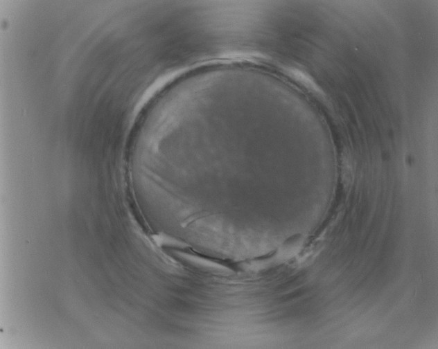 X0000075901412200610151805