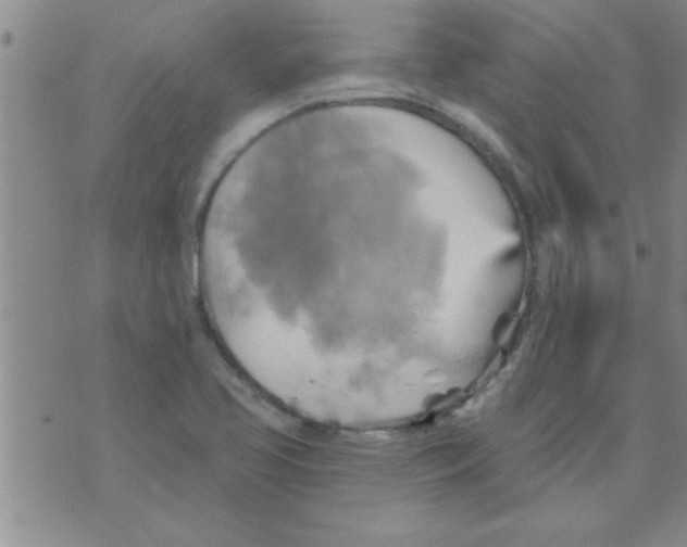 X0000075901413200610151805