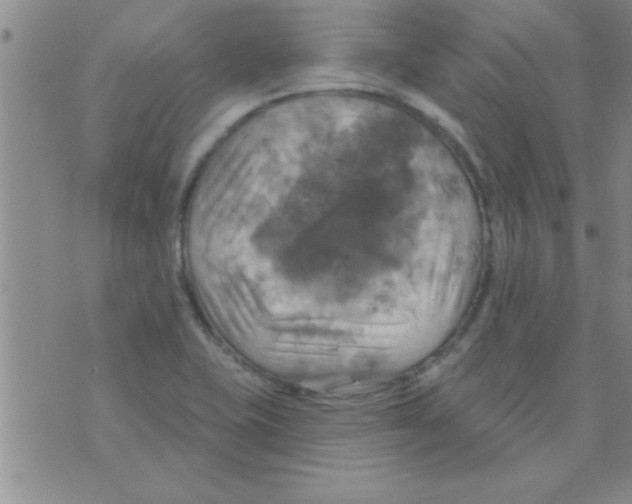 X0000075901415200610151805