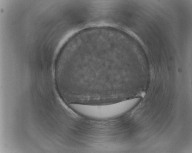 X0000075901416200610151805