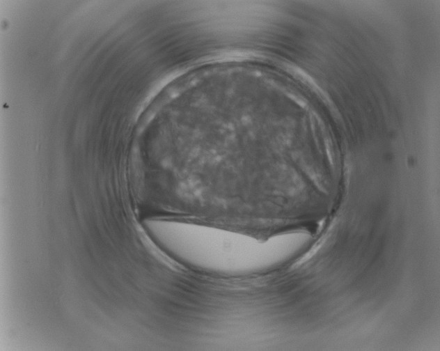 X0000075901417200610151805