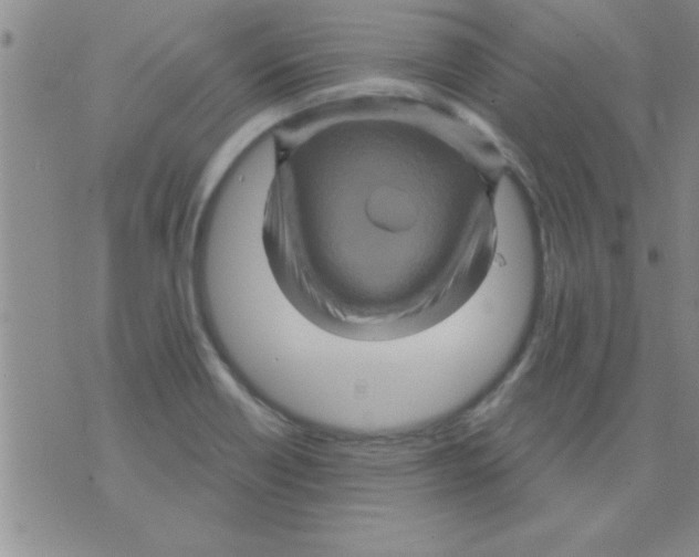 X0000075901418200610151805