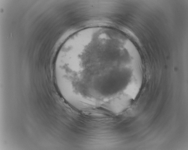 X0000075901419200610151805