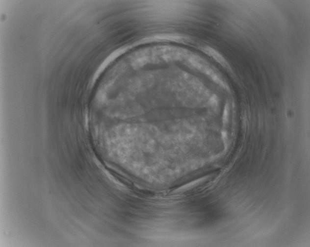 X0000075901420200610151805