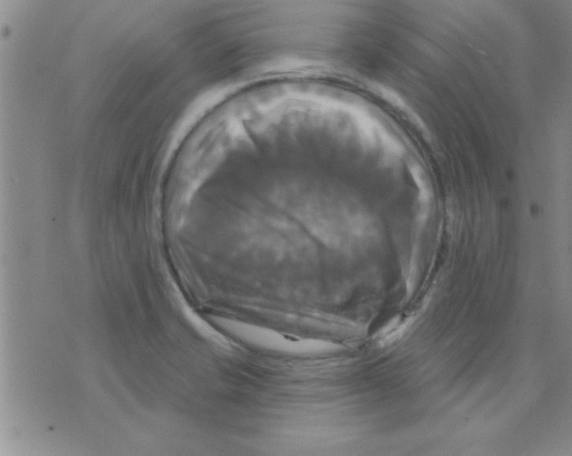 X0000075901421200610151805