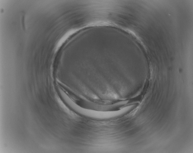 X0000075901422200610151805