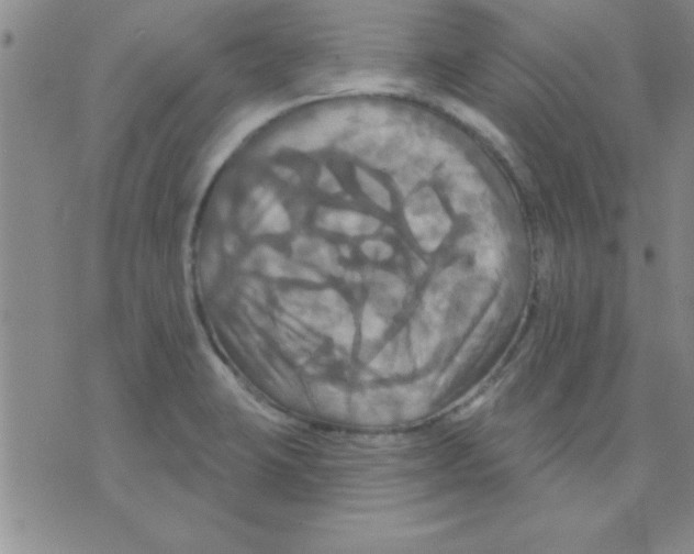 X0000075901423200610151805