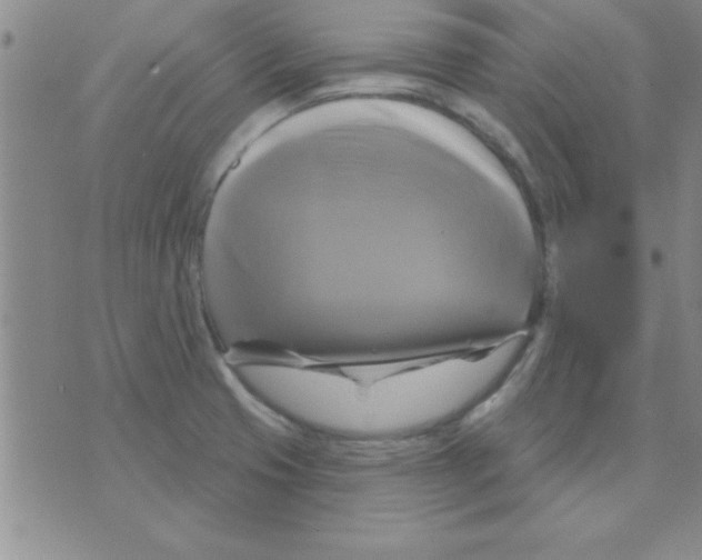 X0000075901425200610151805