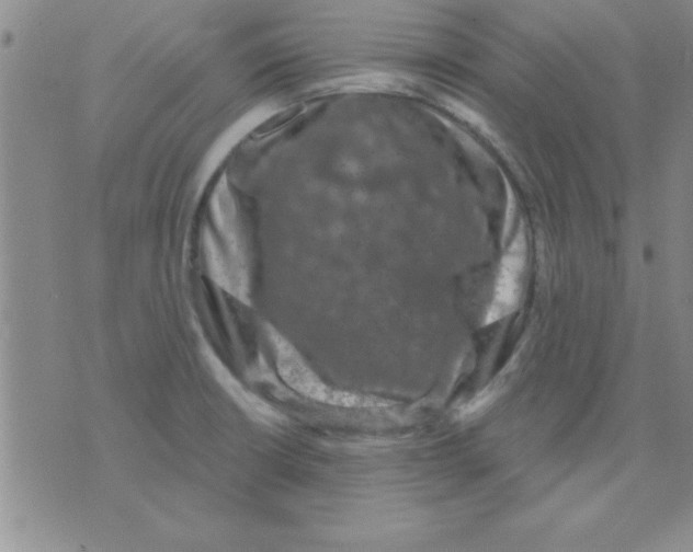 X0000075901426200610151805