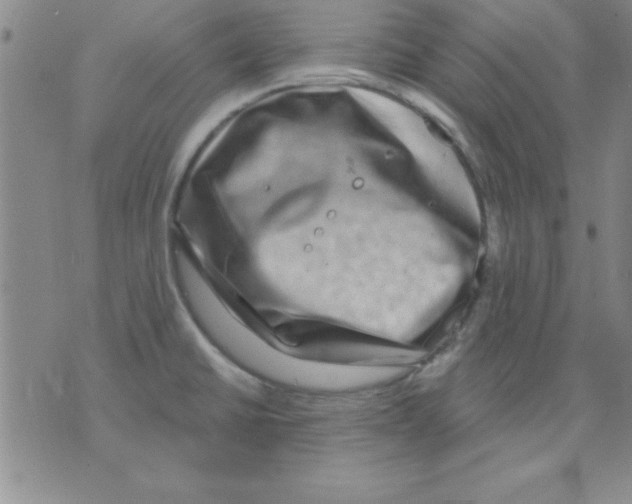 X0000075901430200610151805