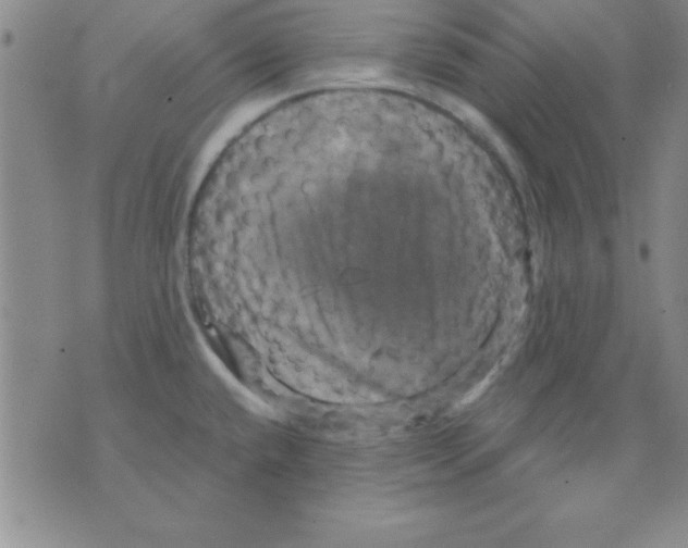 X0000075901432200610151805