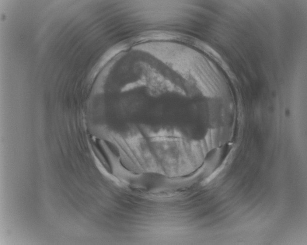 X0000075901433200610151805