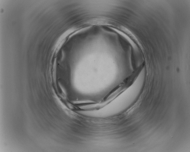 X0000075901434200610151805