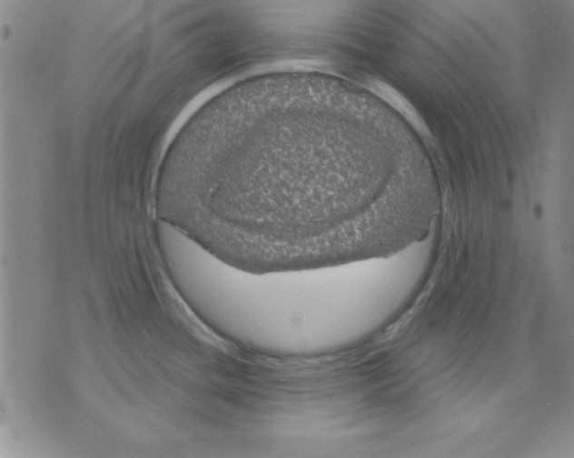 X0000075901436200610151805