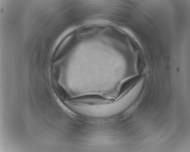 X0000075901438200610151805