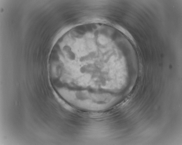 X0000075901439200610151805