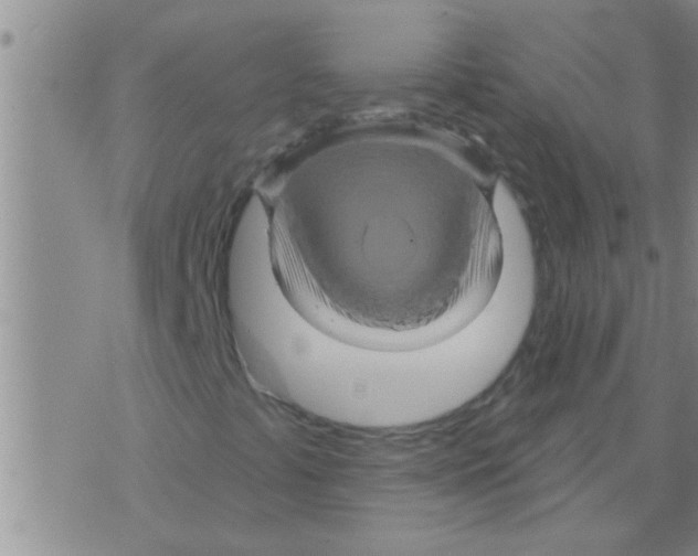 X0000075901441200610151804