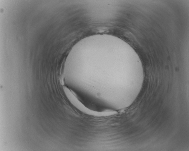 X0000075901442200610151804