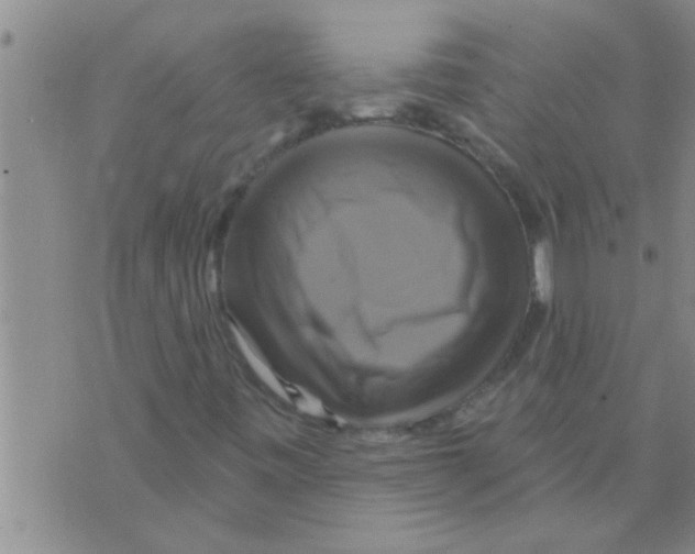 X0000075901443200610151804