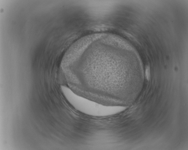 X0000075901444200610151804