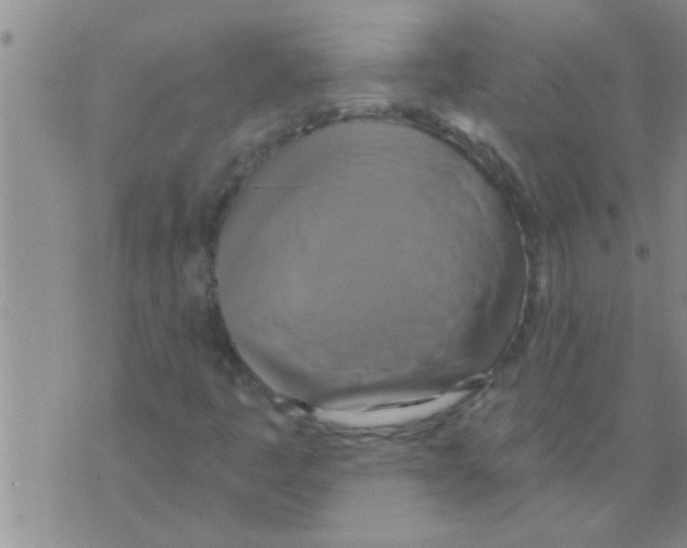 X0000075901445200610151804